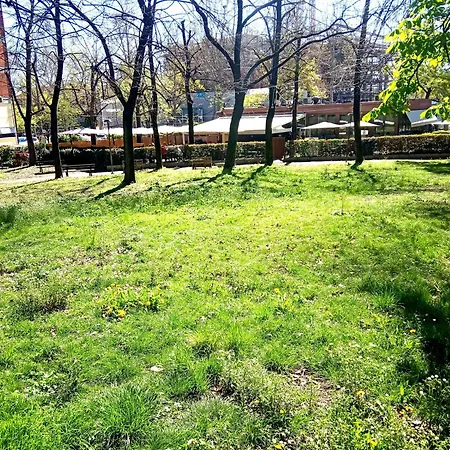 Appartement Wiligelmo Intero Con Colazione Inclusa *